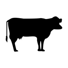 Isolated Cow Icon Symbol On Clean Background. Vector Kine Element In Trendy Style.