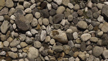 Shore Stones Texture for 3D 