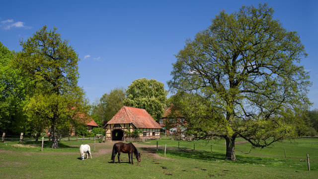 Pferdekoppel bei Bad Bevensen im Fr&uuml;hling sonnig HD Format