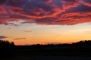 Fototapeta na wymiar Sunset over Pennsylvania cornfields on a stormy, summer evening.