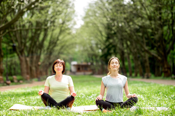 Young and elder woman doing yoga in the park
