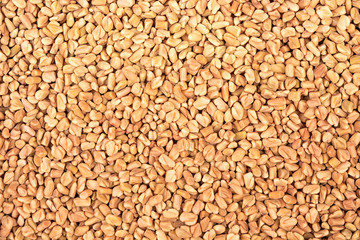 Fenugreek seeds background. View from above