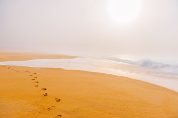 Picturesque scenery seascape of foggy misty abandoned wild beach. Art beautiful landscape of...