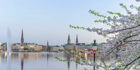 Beautiful view of Hamburg town hall - Rathaus and Alster river at spring earning evening © Igor Tichonow