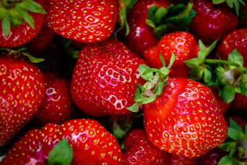Strawberry. Fresh berries . Fruit background