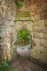 Rosslyn Castle Forest Entry