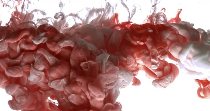 Red and white ink spraying in water on white background shooting with 4k high speed camera.