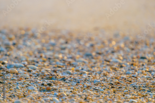 Closeup Beautiful Photo Of Sand With Stones And Seashell On