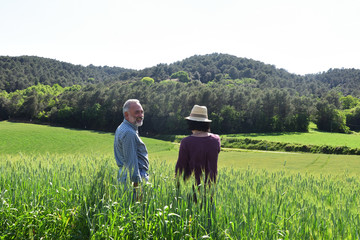 Fototapeta na wymiar couple of farmers looking at a field