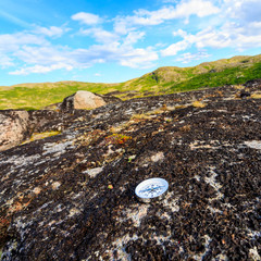 Reliable compass on moss in tundra. Concept for travelling and active lifestyle