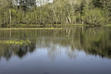 Fototapeta na wymiar lake reflections