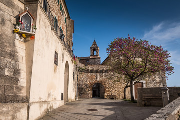 Rosignano Marittimo, Tuscany, Livorno