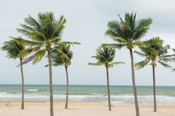 Obraz na płótnie Canvas Tropical beach with palm trees, blue sky and white sand.