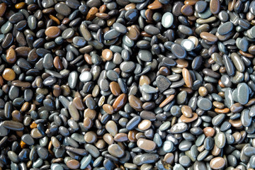 Abstract background texture, Colorful sea stones in water, top view