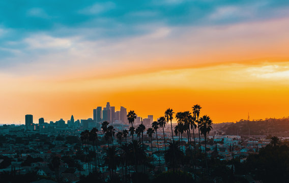 Downtown Los Angeles skyline at sunset with palm trees in the foreground
