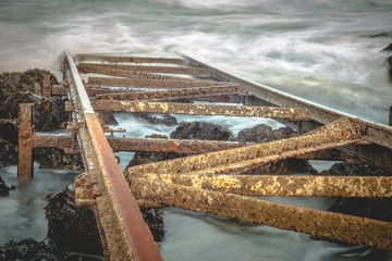 Tracks into the water