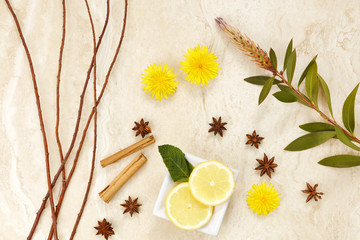 Fototapeta na wymiar Arrangement of spices with lemon and dandelions with twigs as spring backdrop
