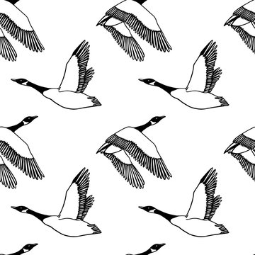 Hand drawn wild goose pattern