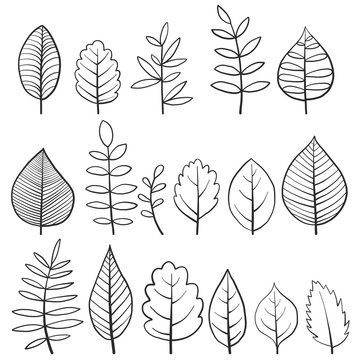 vector set of doodle tree leaves