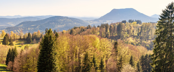 French landscape - Vosges. View towards the Vosges massif with hills and trees.