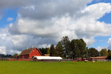 Red Barn on Green Pasture in Oregon