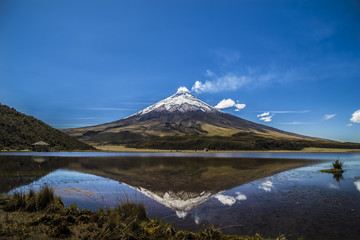Cotopaxi volcano in ecuador - obrazy, fototapety, plakaty