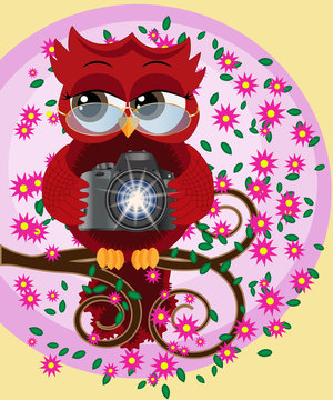 A red sweet owl in glasses and with a camera sits on a flowering branch of a tree. Photo business, photographer, vocation, profession