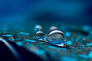 Une image abstraite de plumes duveteuses de couleur bleue avec deux gouttes de rosée d& 39 eau macro, beau fond naturel.