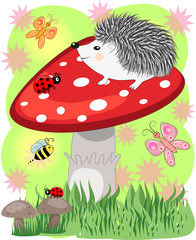 Lovely Cartoon hedgehog sits on a fly agaric mushroom, baby card