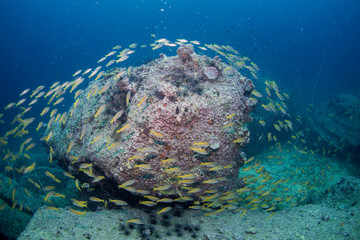 Underwater seascape with natural sunlight through water surface and rocks on the seabed.underwater background
