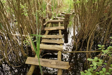 the wooden bridge (some boards), for transition through the small river. rural areas