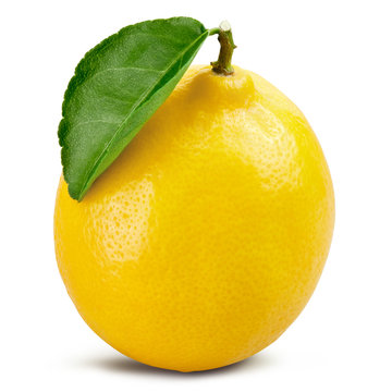 lemon fruit leaf