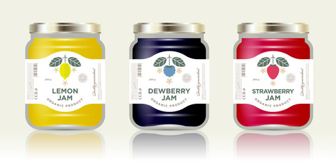 Three labels fruit jam. Lemon, dewberry, strawberry jam labels and packages. Premium design. The flat original illustrations and texts on the minimalist labels on the jar with caps.