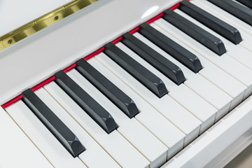 Teclado de piano blanco. Teclas en detalle.
