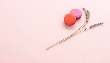 Cake macaron or macaroon and lavender on pink background top view flat lay, beautiful dessert, colorful almond cookies, pastel colors, vintage card