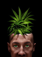 marijuana growing indoor on junkie brain, he thinks it's medical cannabis