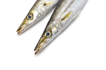 カマス