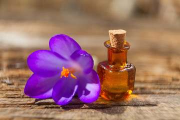 Obraz na płótnie Canvas crocus essential oil in beautiful bottle on table