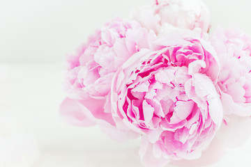 Fresh bunch of pink peonies on white wooden background