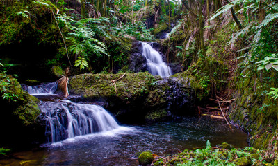 Waterfall in idyllic jungle 