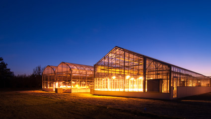 Greenhouses glowing against sunset sky