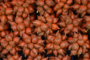 Salak fruit, Salacca zalacca, snake fruit is good for the body,Use for website/banner background, backdrop, montag menu