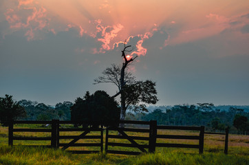 Obraz na płótnie Canvas sunset on the farm