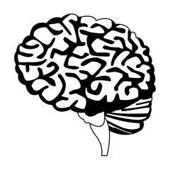 Human brain isolated vector illustration graphic design