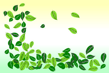 Environmental conservation concept. Loose leaves border frame on gradient green and yellow colored background. Vector illustration, EPS 10. Use as backdrop, wallpaper, montage for graphic design, etc.