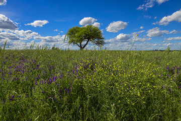 Colorful landscape, Pampas, Argentina