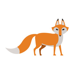 Fox wild animal vector illustration graphic design