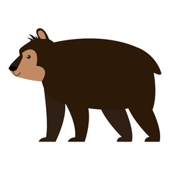 Bear wild animal vector illustration graphic design