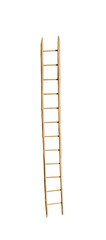 Vintage wooden ladder, isolated on white © Liz
