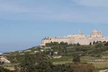 Obraz premium Ancient hilltop fortified capital city of Malta, The Silent City, Mdina or L-Imdina, skyline against blue Spring skies with huge walls, cathedral domes and towers, fields of spring flowers, April 2017